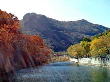 新澳天天开奖资料大全旅游团，全职业大师最新章节